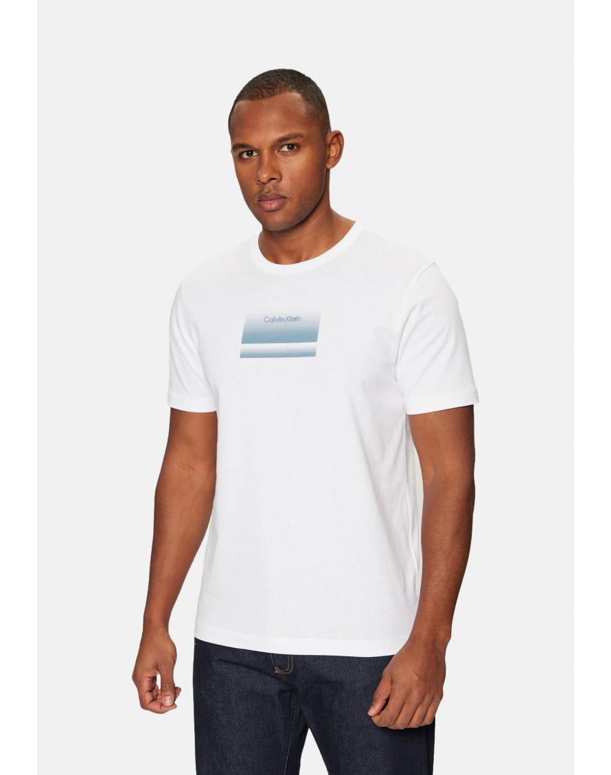 Calvin Klein Camiseta Gradiente Logo T-Shirt