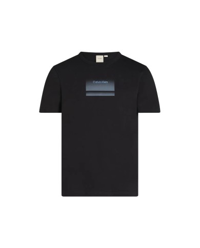 Calvin Klein Camiseta Gradiente Logo T-Shirt