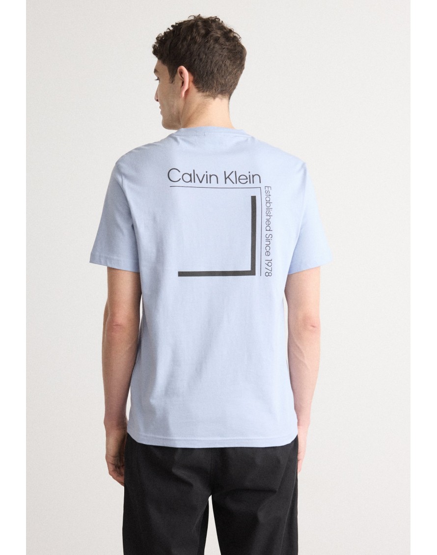 Calvin Klein Camiseta Linear Box Logo