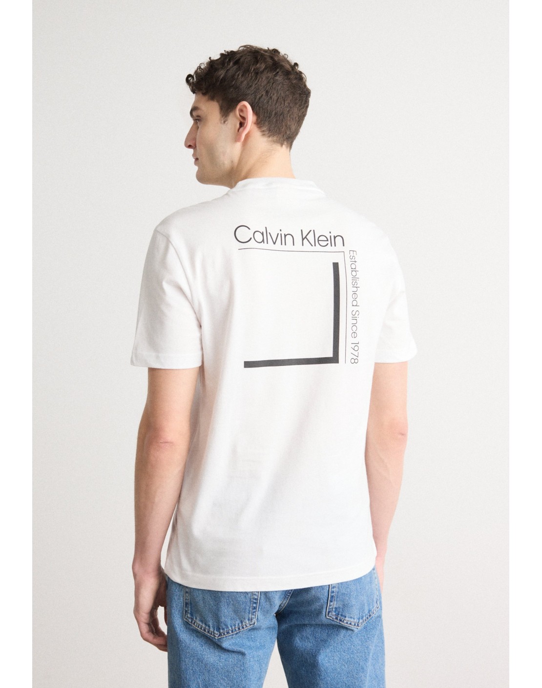 Calvin Klein Camiseta Linear Box Logo