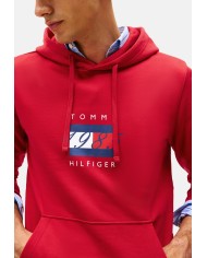 Tommy Hilfiger Sudadera capucha Linear Flag Graphic Hood