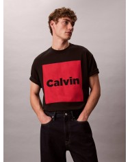 Calvin Klein Camiseta SS 16S IO Calvin Box