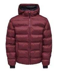 Only & Sons Chaqueta Acolchada Onsunion Life Hood Puffer Jacket