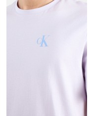 Calvin Klein Camiseta SS 30S Classic Back Monologo Tee