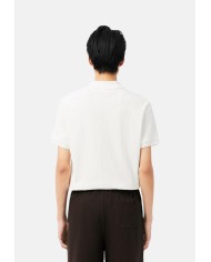 Lacoste Polo Homme Adulte Maille