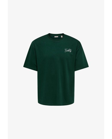 Only & Sons Camiseta Onsparks Gallery Air Boy SS Tee Noos