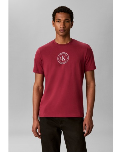 Calvin Klein Camiseta SS 30S EU Crest Graphic Tee