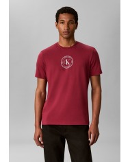Calvin Klein Camiseta SS 30S EU Crest Graphic Tee