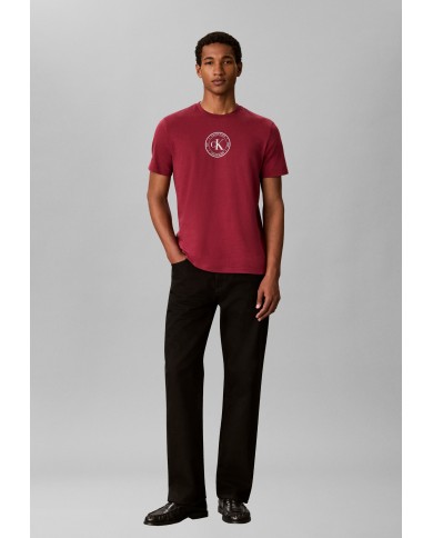 Calvin Klein Camiseta SS 30S EU Crest Graphic Tee