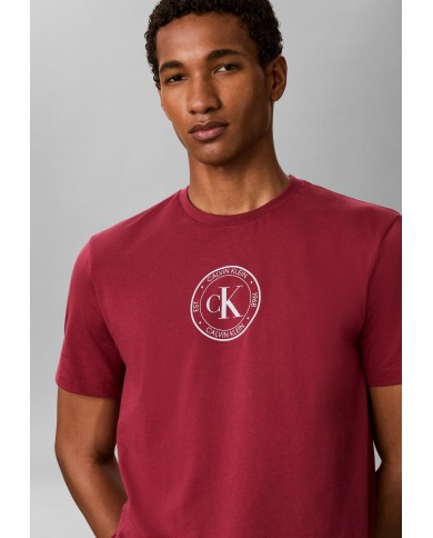 Calvin Klein Camiseta SS 30S EU Crest Graphic Tee