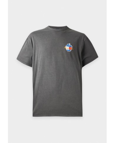 Tommy Jeans Camiseta Graphic Tee